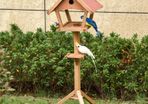 Wooden Bird Feeder Stand for Garden Pre-cut Weather Resistant 49 x 45 x 139cm (FREE SHIPPING)