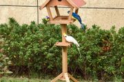 Wooden Bird Feeder Stand for Garden Pre-cut Weather Resistant 49 x 45 x 139cm (FREE SHIPPING)