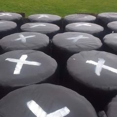 silage