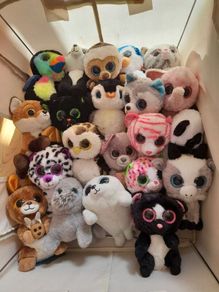 Beanie Boo - selection of 21 loved Beanie Boo some with tags