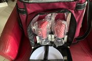 Brand New Picnic Cooler Bag
