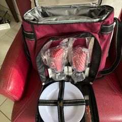 Brand New Picnic Cooler Bag