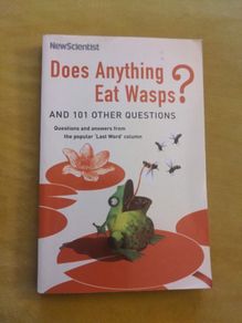Does Anything Eat Wasps And 101 Other Questions?