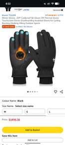Ski gloves