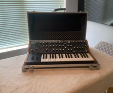 Moog Subsequent 37 & Flight Case