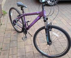 Girls Bike