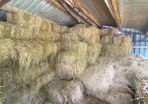 Small square bales  of organic hay .. ,