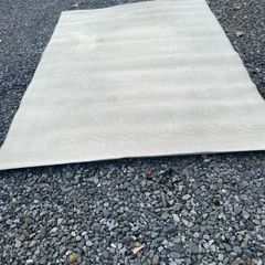 rug