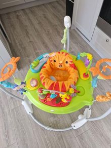 Fisher Price Jumperoo