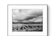 Beautiful Tuscany  Framed Fine Art Photograph