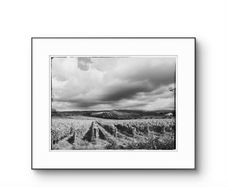 Beautiful Tuscany  Framed Fine Art Photograph