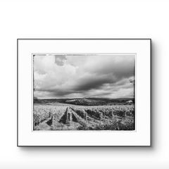 Beautiful Tuscany  Framed Fine Art Photograph