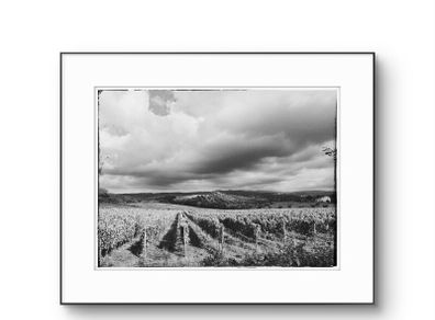 Beautiful Tuscany  Framed Fine Art Photograph
