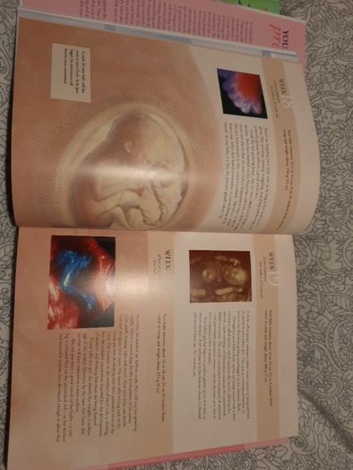 Your pregnancy BIBLE baby weekly fetal development