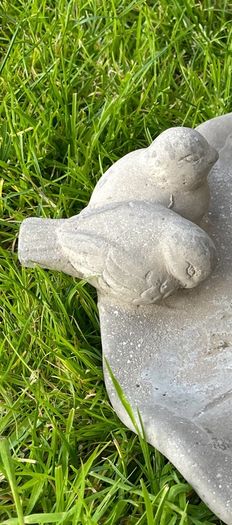 Bird Bath