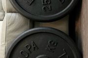 2x25kg Europa standard 1" diameter weight plates