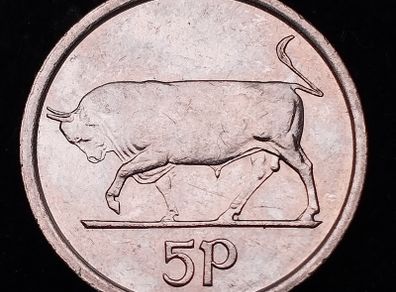 [#2587] - Ireland 2000 | Irish 5p | 5 Pence | Bull | KM.28 | MS