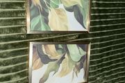 2 Framed Photos