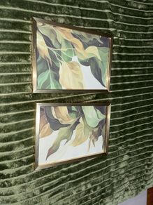 2 Framed Photos