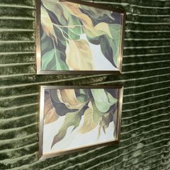 2 Framed Photos