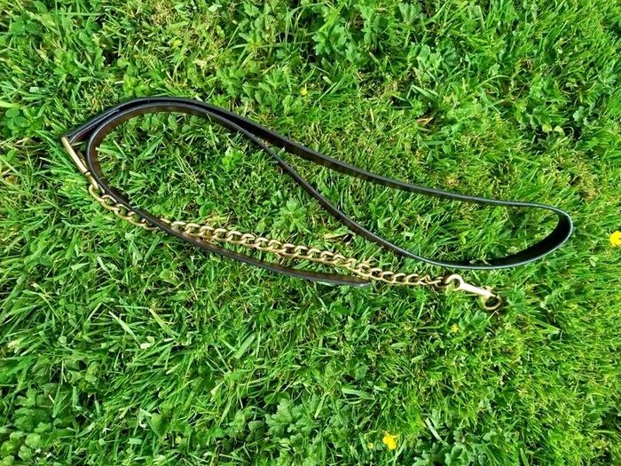 Leather Show Lead with Brass Clip
