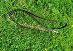 Leather Show Lead with Brass Clip