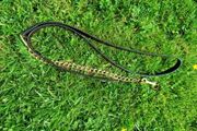 Leather Show Lead with Brass Clip