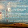 Beach Cooler bag Image 4