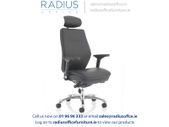 Domino High Back Posture Chair with Arms and Headrest