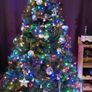 Christmas tree Image 7