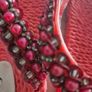 Pazzo Jewelled Flip Flops Image 4