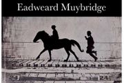 Eadweard Muybridge    Photography book