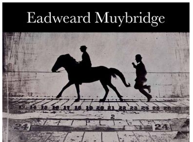 Eadweard Muybridge    Photography book
