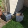 10 garden pots and plants inc Image 8