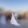 Riki Dalal Jupiter Wedding Dress Size 8 Corset A-Line Slit + Veil Image 4