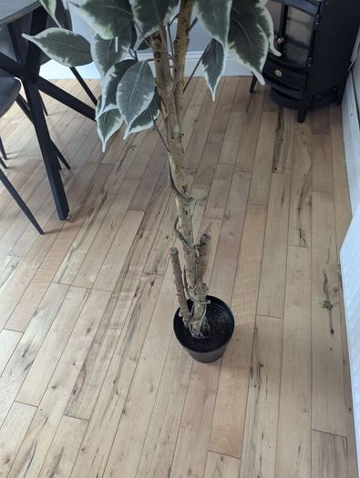 Artificial Plant