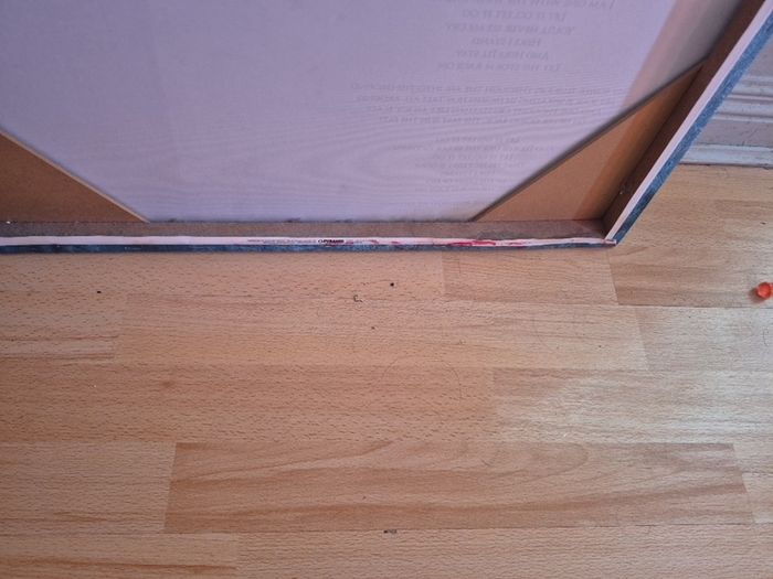Large Frozen Eliza Canvas