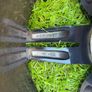 19.  Romac Alloy Wheels   5x112 Image 8