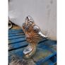 Shop Spoiled Cast Iron Bath KAS1151 Image 5