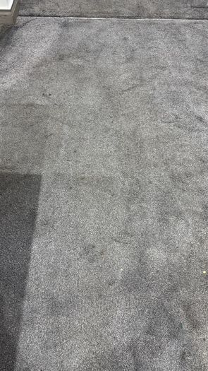 carpet