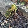 antique granite roller Image 2
