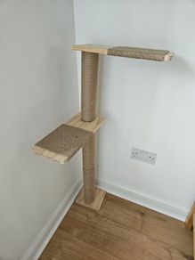 cat tree