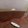 Vintage Large Hand Painted Lacquered Musical Jewelry Box Image 9