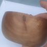 Beech hand turned treen Pot Pourri pot Image 6