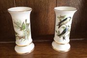 A Pair of Small 5 inch Coalport China British Birds Vases