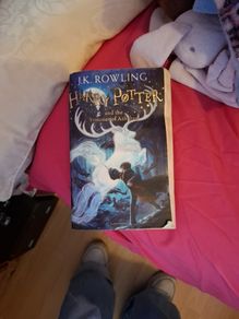 harry potter book