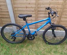 Junior mountain bike