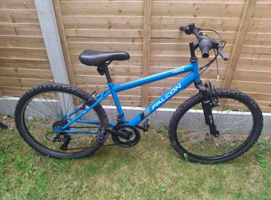 Junior mountain bike