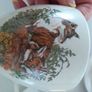 Carrigaline Pottery Woodlands Collection Image 3