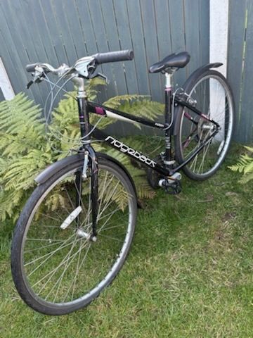 Ridgeback ladies bike